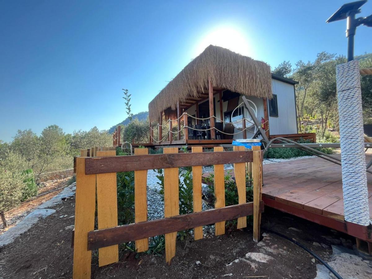 Lovin Goecek Tiny House Butterfly Villa Gokceovacik Kültér fotó